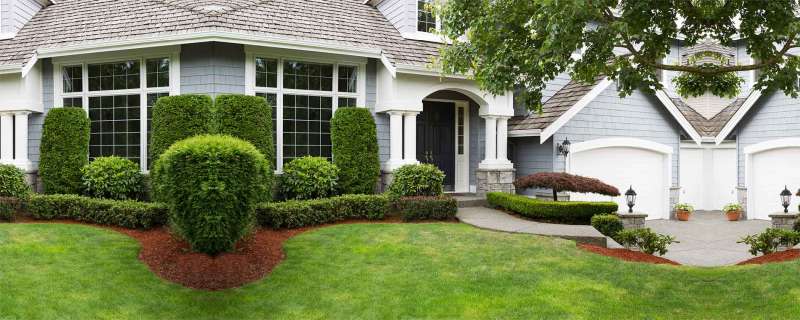 Pre-Construction Termite Treatment